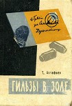 Читать книгу Гильзы в золе: Глазами следователя