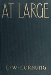 Читать книгу At Large