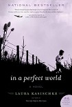 Читать книгу In a Perfect World