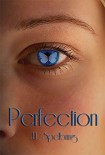Читать книгу Perfection