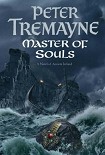 Читать книгу Master of Souls