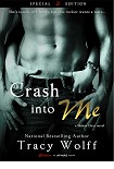 Читать книгу Crash Into Me