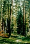 Читать книгу Лес – кормилец