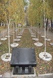 Читати книгу ГЕНОЦИД ХХ СТОЛІТТЯ 
