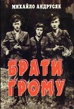 Читати книгу Брати грому