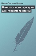 Читать книгу Повесть о том, как один мужик двух генералов прокормил