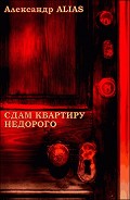 Читать книгу Сдам квартиру недорого (СИ)