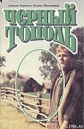 Читать книгу Черный тополь