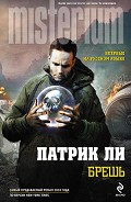 Читать книгу Брешь