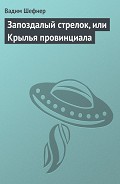 Читать книгу Запоздалый стрелок, или Крылья провинциала