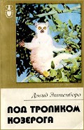 Читать книгу Под тропиком Козерога