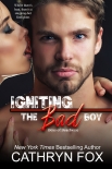 Читать книгу Igniting the Bad Boy