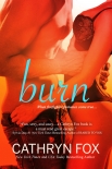 Читать книгу Burn