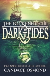 Читать книгу The Blackened Soul