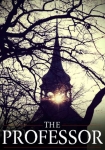 Читать книгу The Professor