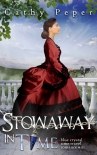 Читать книгу Stowaway in Time