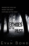 Читать книгу Echoes of the Past