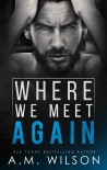 Читать книгу Where We Meet Again