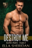 Читать книгу Destroy Me
