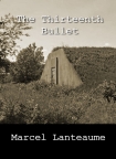 Читать книгу The Thirteenth Bullet