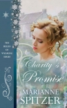 Читать книгу Charity's Promise