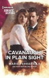 Читать книгу Cavanaugh In Plain Sight (Cavanaugh Justice Book 42)