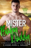 Читать книгу Mister Baby Daddy (Bad Boys in Love Book 3)