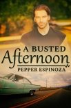 Читать книгу A Busted Afternoon