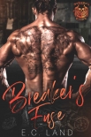 Читать книгу Breaker's Fuse