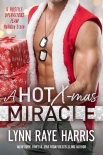 Читать книгу A HOT Christmas Miracle: A Hostile Operations Team Holiday Story