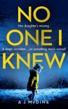 Читать книгу No One I Knew