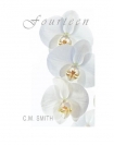 Читать книгу Fourteen