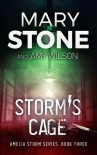 Читать книгу Storm's Cage