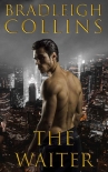 Читать книгу The Waiter