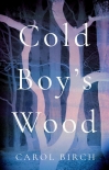Читать книгу Cold Boy's Wood