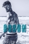 Читать книгу The Bosun: A Military Romance (Love is Blind Book 3)