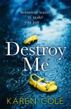 Читать книгу Destroy Me