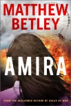 Читать книгу AMIRA