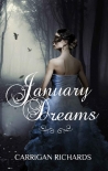 Читать книгу January Dreams