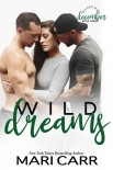 Читать книгу Wild Dreams: A Friends to Lovers romance (Wilder Irish Book 12)