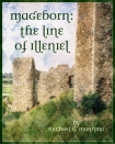 Читать книгу Mageborn The Line of Illeniel