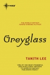 Читать книгу Greyglass