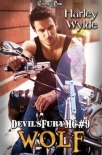 Читать книгу Wolf (Devil's Fury MC 9)