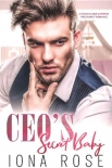 Читать книгу CEO'S Secret Baby: A Standalone Surprise Pregnancy Romance