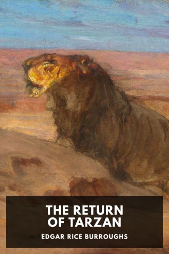 Читать книгу The Return of Tarzan