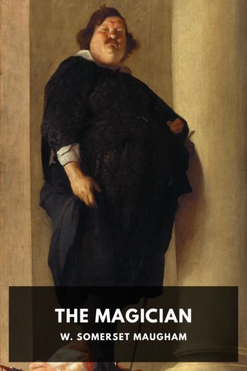 Читать книгу The Magician