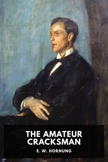 Читать книгу The Amateur Cracksman