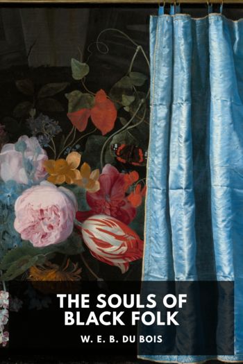 Читать книгу The Souls of Black Folk