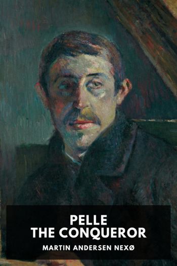 Читать книгу Pelle the Conqueror