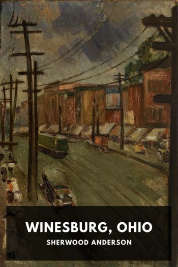 Читать книгу Winesburg, Ohio
